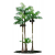 石家庄艺苑雕塑有限公司-仿真植物，仿真树，仿真椰子树，仿真海藻树，仿真老人葵